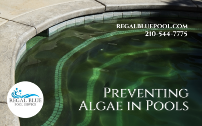 Preventing Algae in Pools