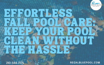 Effortless Fall Pool Care: Keep Your Pool Clean Without the Hassle